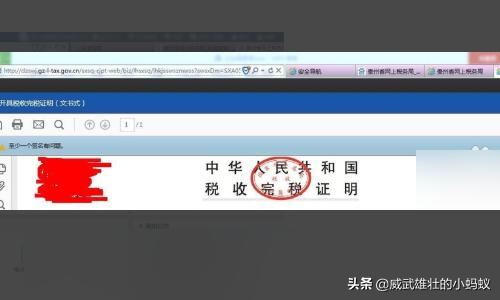 我们的国家税务总局网站首页上线啦，快来了解税收新动态！，中华人民共和国国家税务总局官网