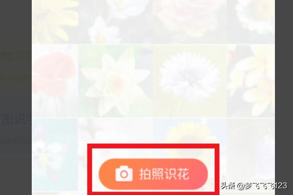 在线拍照识别花卉?在线拍照识别花卉的软件!