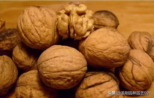 果园农场app开发