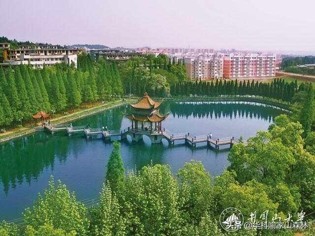 相关图片2