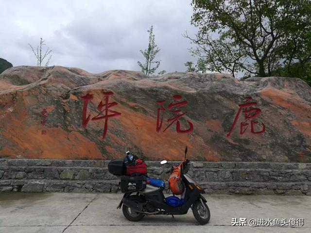 新车买什么车