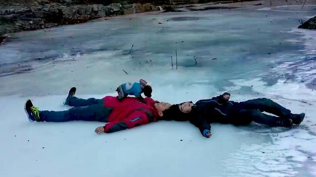 怎么带狗狗出门旅游,第4张