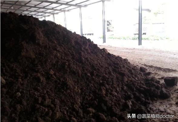 土壤不够肥沃怎么改善(图29)