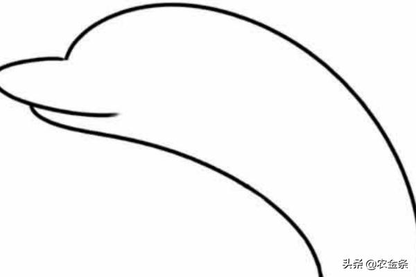 动物怎么画简笔画（夏天的动物怎么画简笔画）