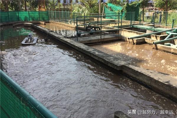 5000头养猪场污水处理设备多少钱 养猪场污水处理方法？