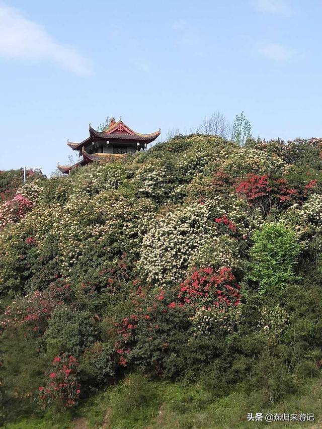 旅游国内外研究现状 全球发展趋势,旅游国内外研究现状 全球发展趋势分析