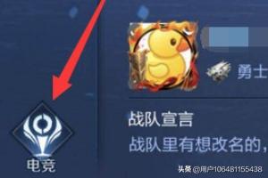 王者电竞app开发
