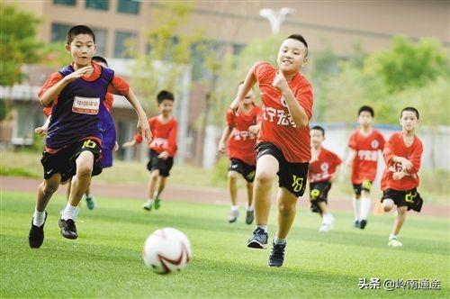 中国青少年在海外生活，中国青少年在海外生活的比例