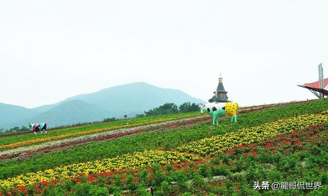 东部华侨城酒店-东部华侨城酒店茵特拉根酒店预订