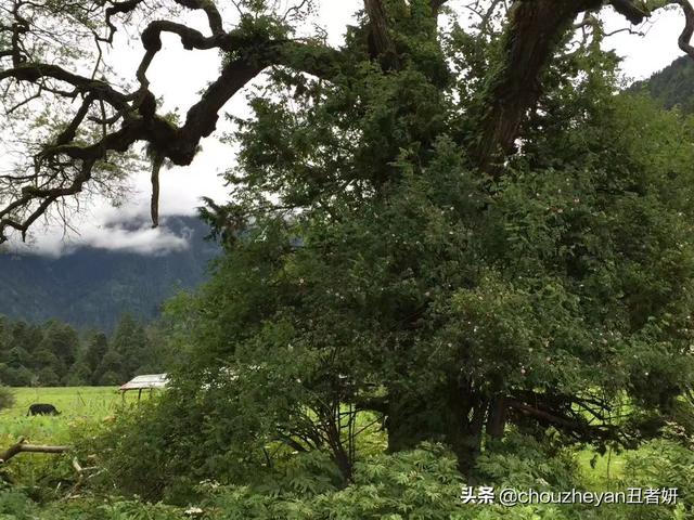 如何提高穿衣审美搭配能力(图13)