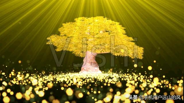 不顺怎么改善运气不好(图1)