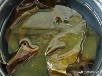 海带炖排骨-海带炖排骨的做法