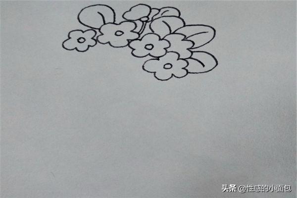 花卉树木手绘简笔画大全-花卉树木手绘简笔画大全图片