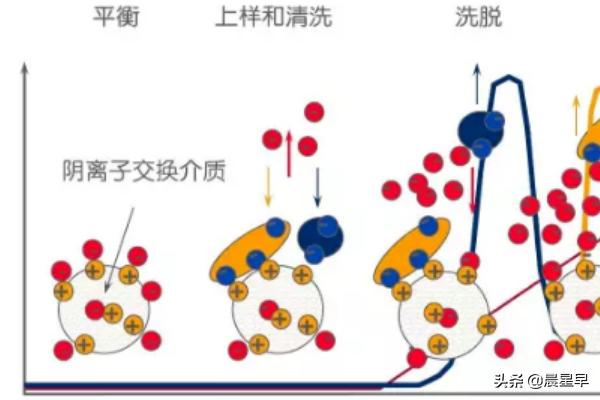 蛋白层析系统-蛋白层析系统原理