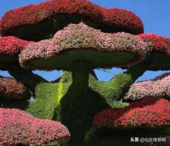 太原必去的景点免费景区(图4)