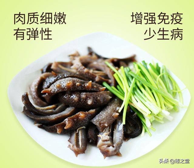 海参有什么特点和功效(图8)