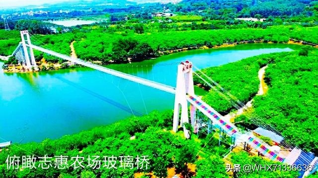 过年广州市有什么农庄