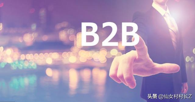 b2b（b2b是什么意思通俗讲解？）