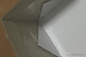 纸箱狗颜色如何搭配好看(图6)