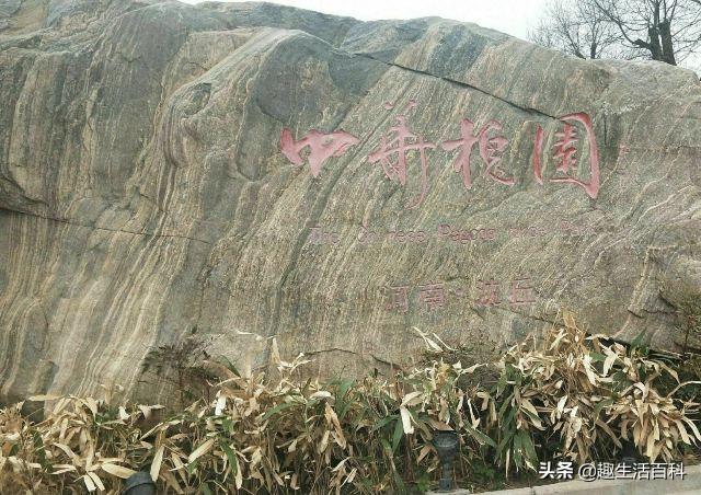 在河南周口开车怎么样啊