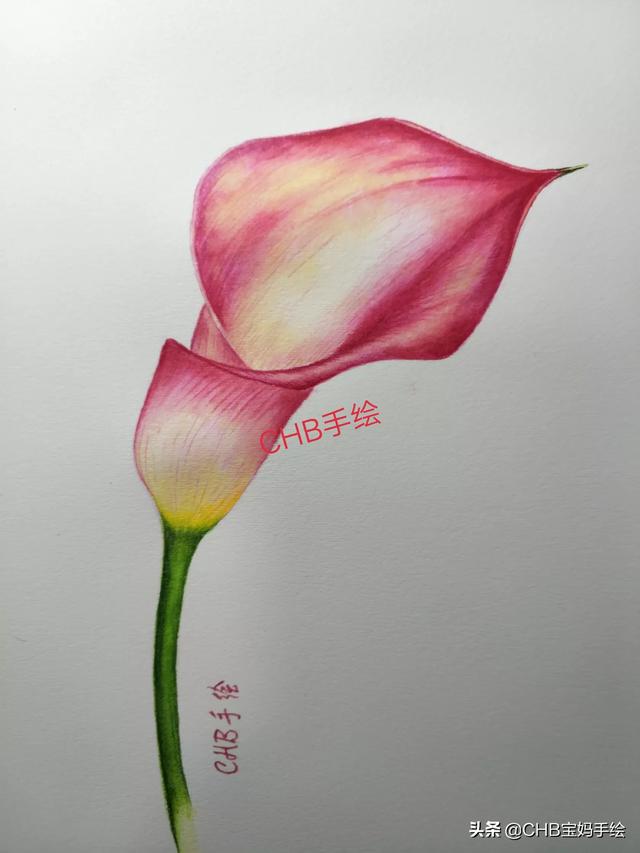 素描绘画技巧和基础知识,素描绘画技巧和基础知识有哪些