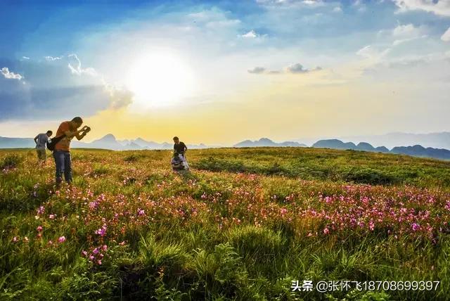 新婚2个月丈夫离世
