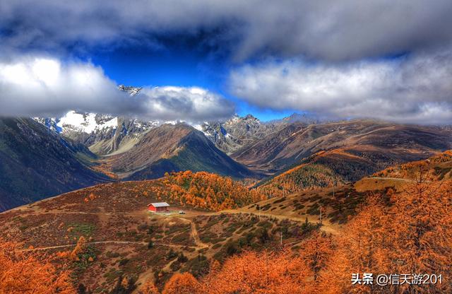 迪庆藏族自治州香格里拉市纸飞机账号购买