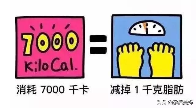 减肥最好的鸡蛋怎么吃(图36)