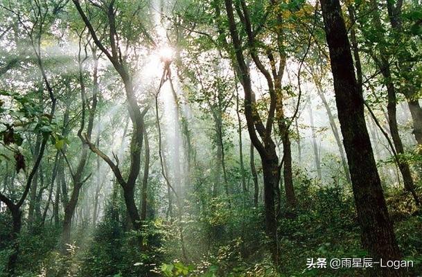 仪征旅游穿搭夏天， 仪征旅游穿搭夏天推荐