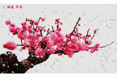 美丽的姑娘播放视频（赞美4岁小女孩漂亮的句子）