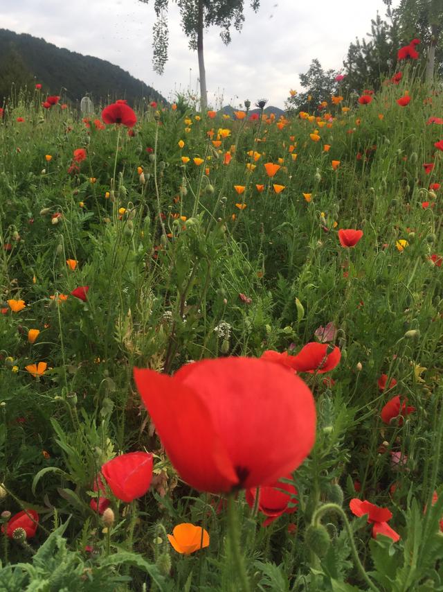 最便宜的旅游景点大全集， 最便宜的旅游景点大全集图片