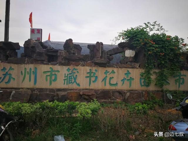 苏州植物信息表，苏州植物名录