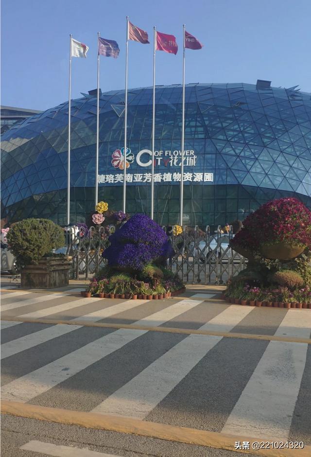 中国鲜花之城（中国鲜花之都）