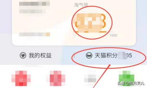 我的积分我的积分查询