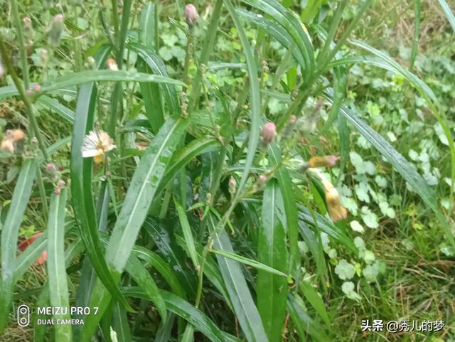 反季节大棚蔬菜种植技术，反季节大棚蔬菜种植技术要点