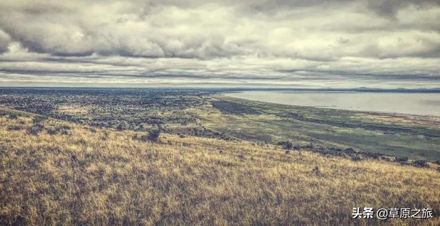 榆林市靖边县纸飞机账号购买服务