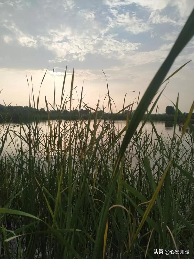 石家庄市哪里的房子好