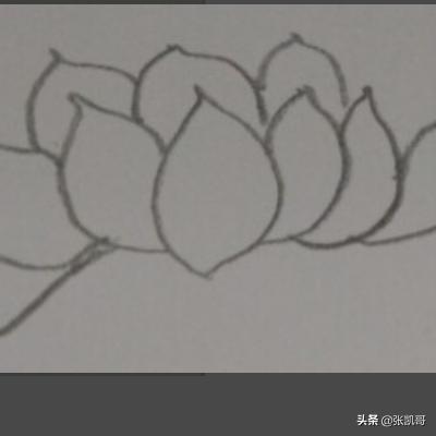 油画花卉绘画步骤?油画花卉绘画步骤图!