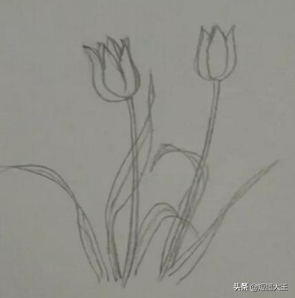 花卉简笔虎?画虎简笔画 可爱!