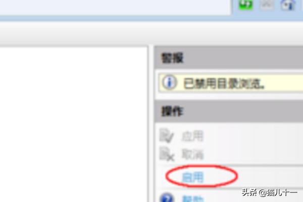 搭建网站403什么意思