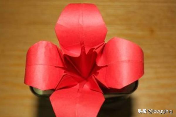 母亲节的花怎么折(图26)