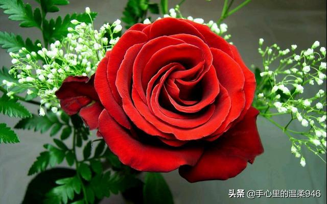 女人过生日送什么礼物好呢（女人过生日一般送什么礼物好）(图8)