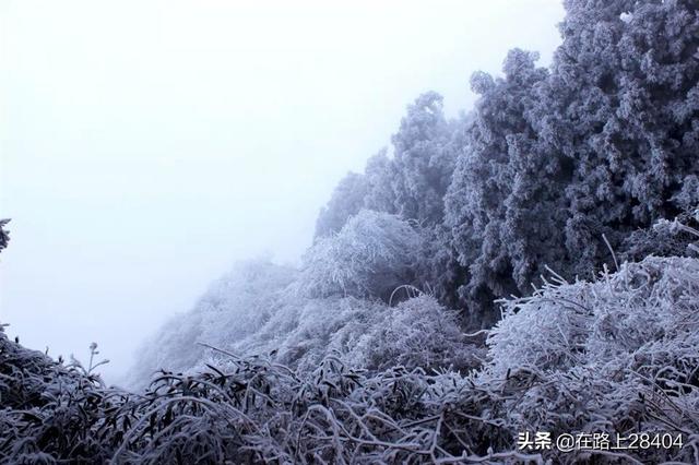 连夜买票到湖南赏雪