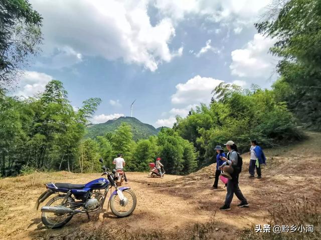 花卉景观设计平面图-花卉景观设计平面图手绘