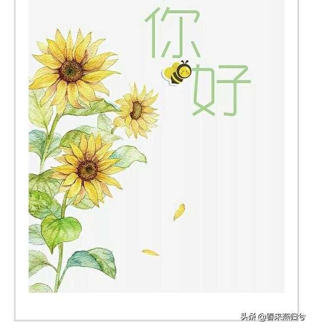 [重新生活]怎样重新开始自己的人生？