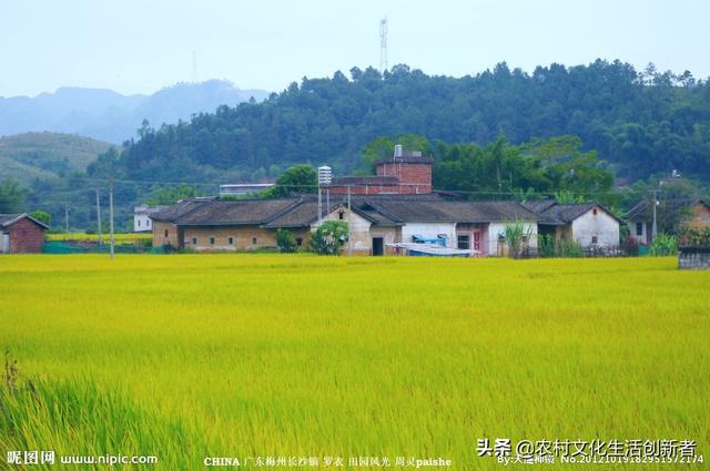 乡村田园风格画-乡村田园风格画画图片