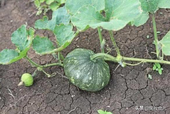 南美洲有哪些跨境电商