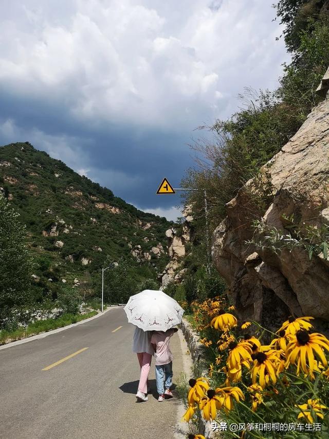 济宁市兖州区纸飞机账号购买经验