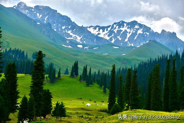 大草原旅游景点大全， 大草原旅游景点大全图片