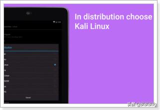 kaliLinux搭建网站